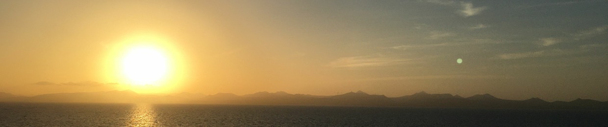 Scottie Holden/DJ Crikey