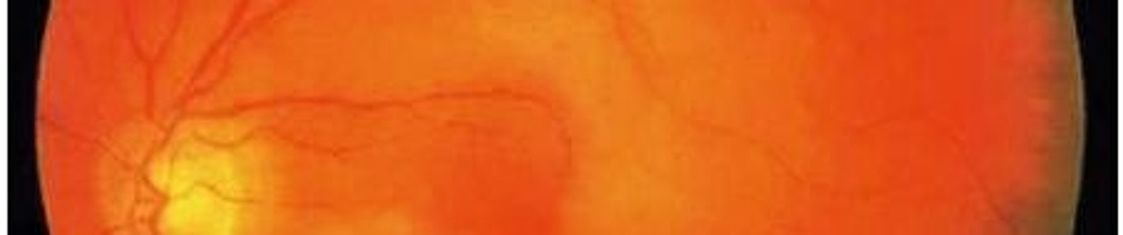 shadimoha85 Syria1978