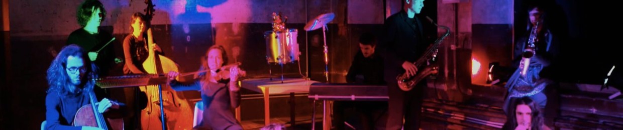 Das Seltene Orchester