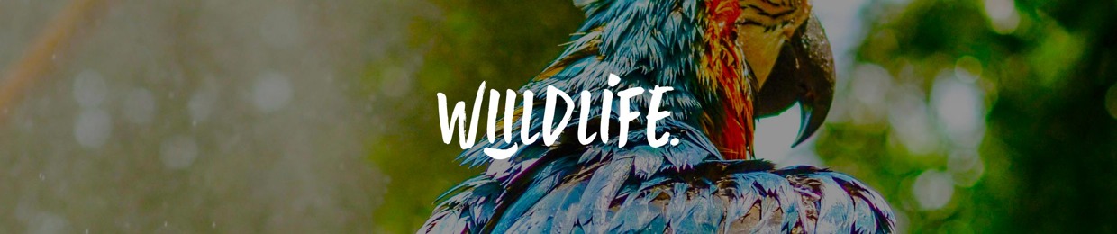 wiildlife
