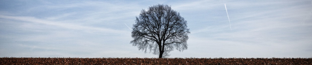 Na cienkim z baraniną