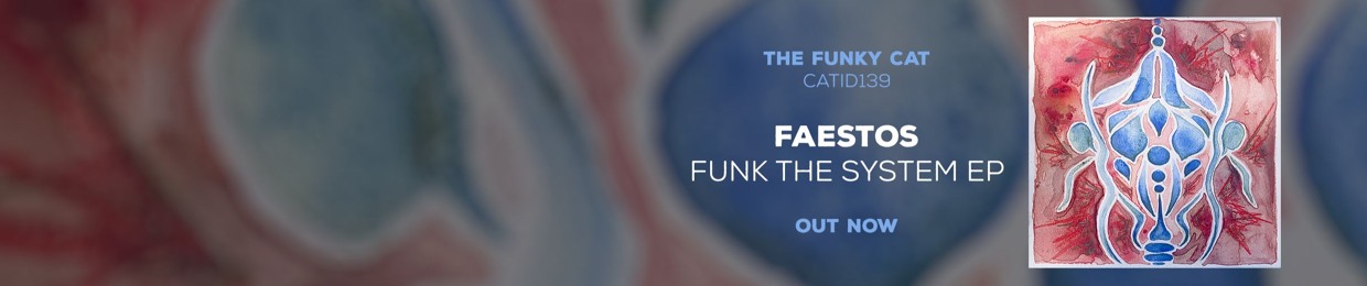 The Funky Cat