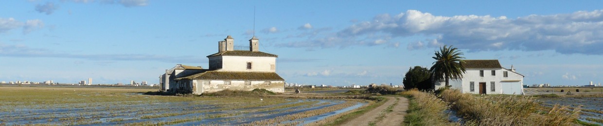 Fundació Assut