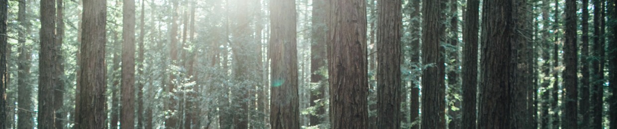 Aequinox