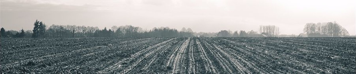 ПОСЕВ / POSEV