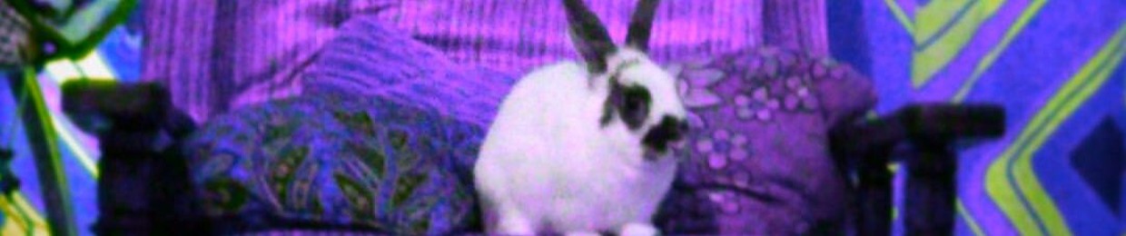 Fredricks in the attic