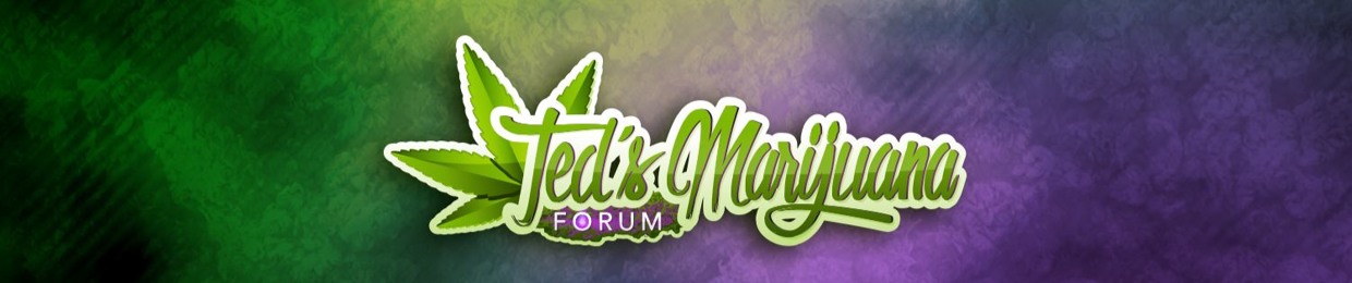 Ted's Marijuana Forum