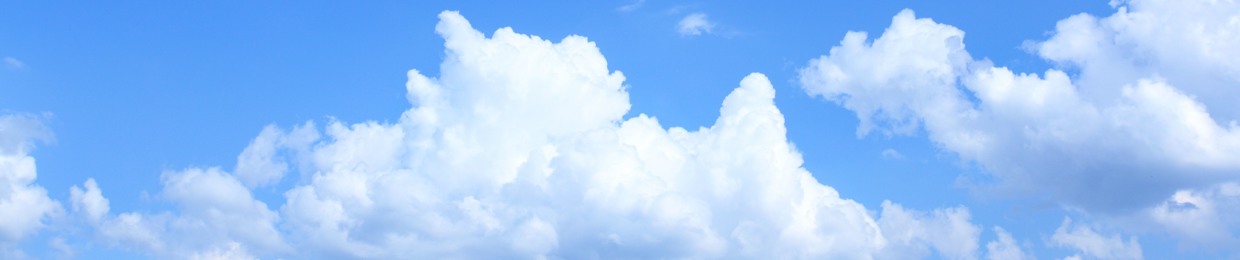 Dragonfly Sky