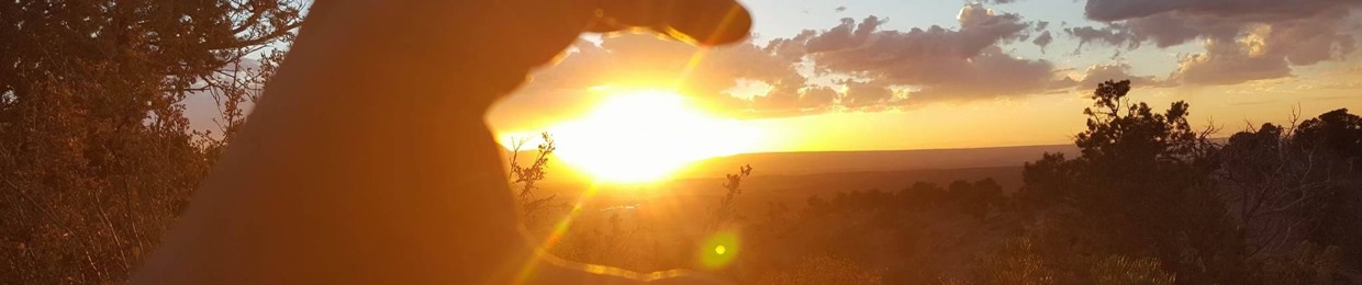 Unreal2Reel