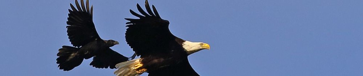 The Eagle and The Raven Band-(tm)