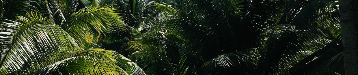 Bookwood and Friends