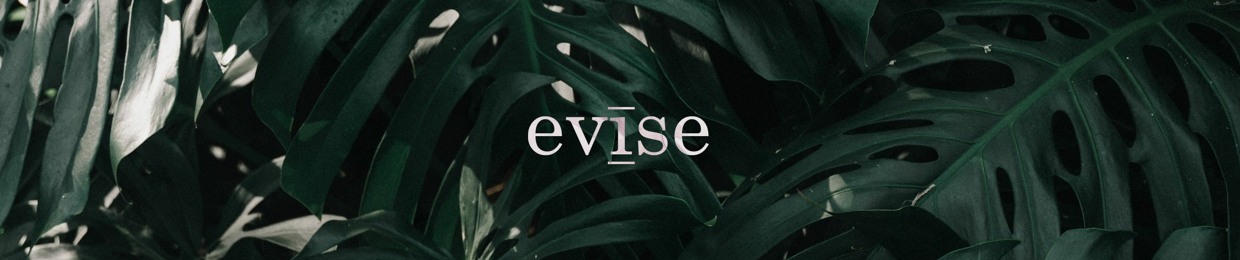 Evise (Unreleased)