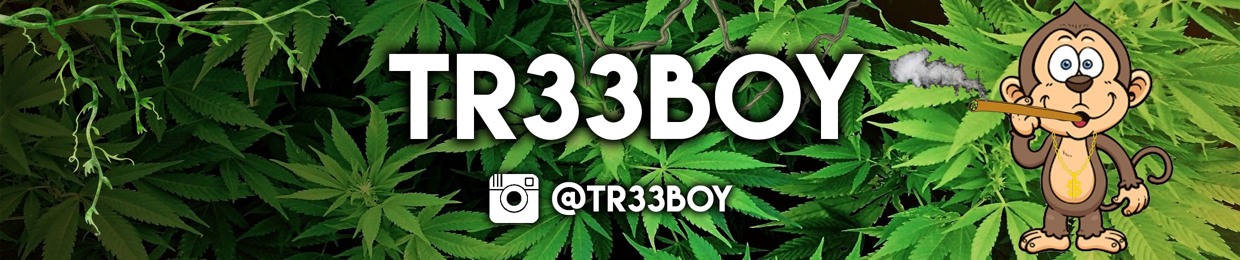 Tr33Boy