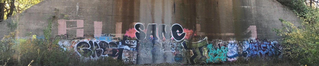 sannnfrannn