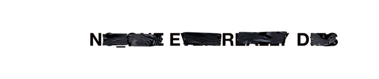 N.E.R.D