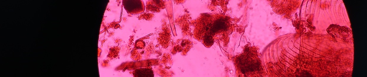 ídlab
