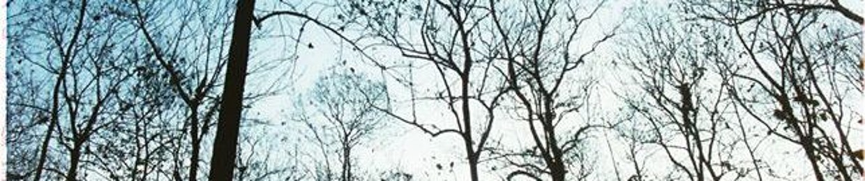 Võ Ngọc Tấn