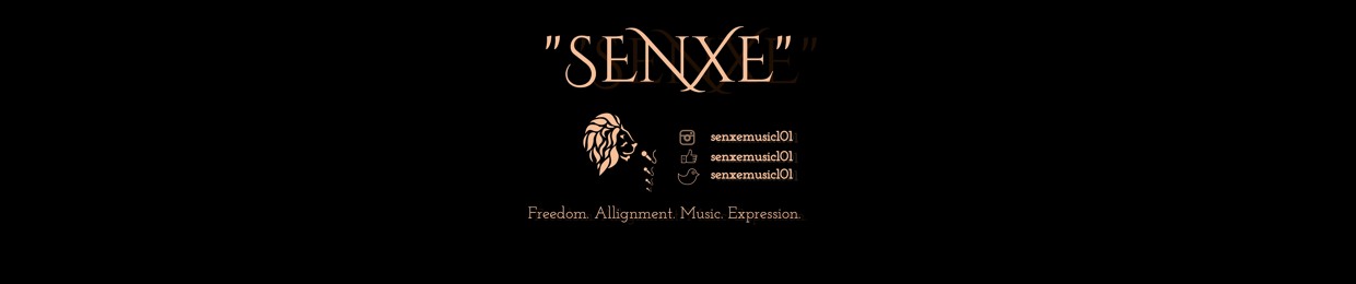 SenxeMusic101