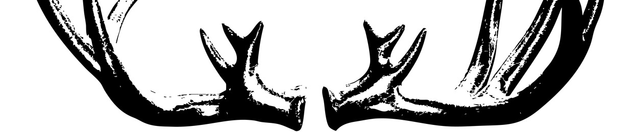 Elk_Music