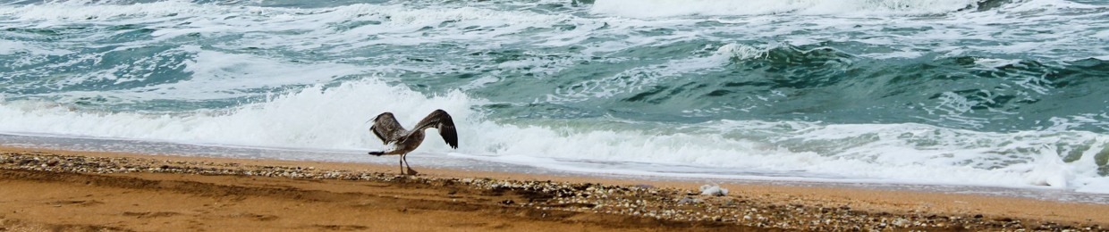 Надежда Калашникова