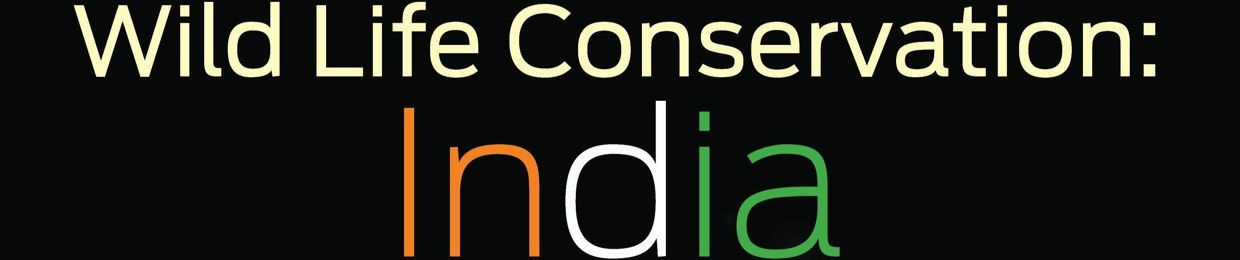 Wild Life Conservation: India Podcast