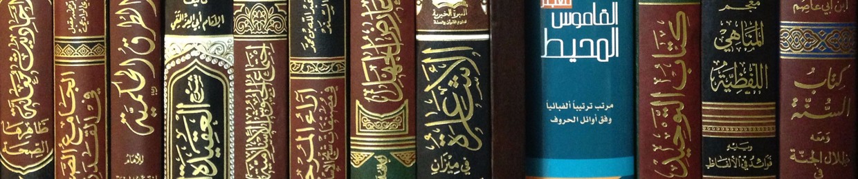AHMED HEGAZ