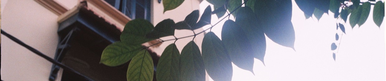 Tùng Nguyễn Thanh