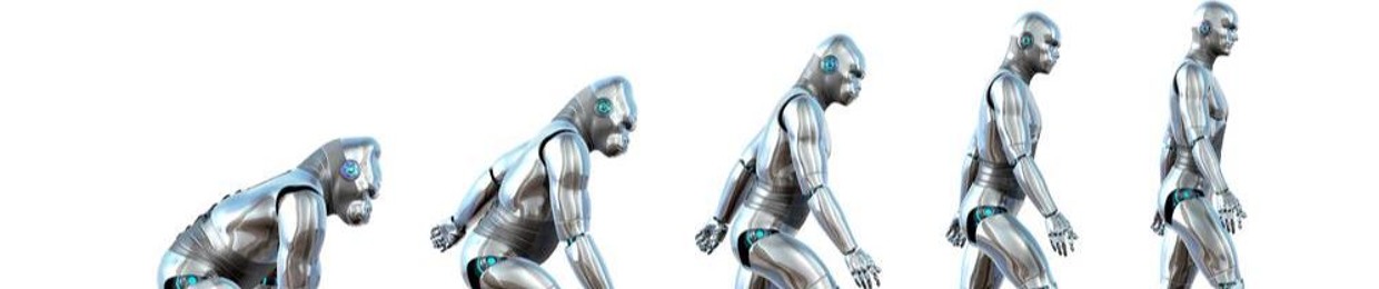 Cyberdimensional