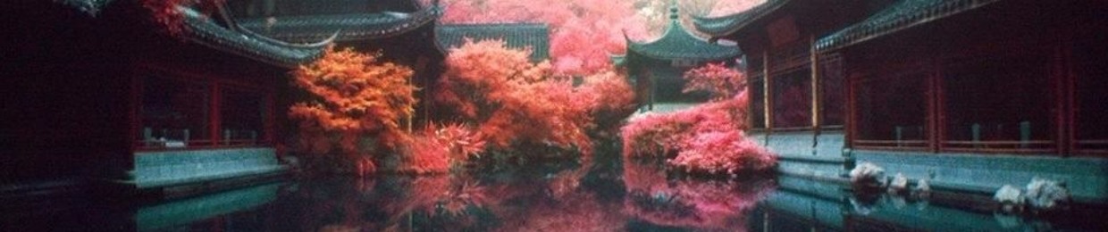 °☆kyle.。.:*・°☆the.。.:*・°☆.vile☽。*・°☆