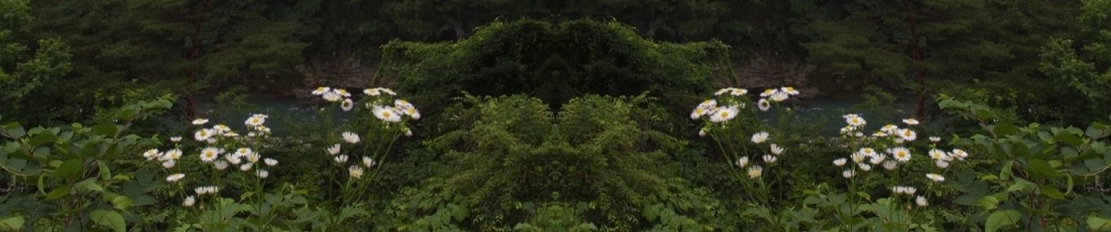 saros.cycle