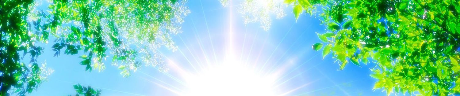 SoundCloud banner for @newport