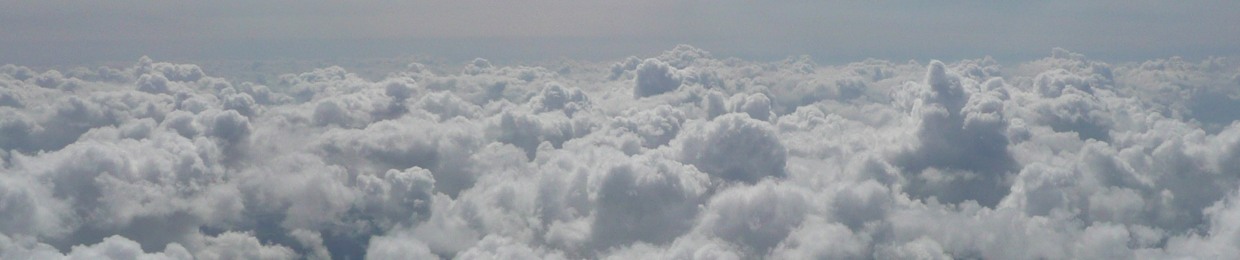 A Cut Above London