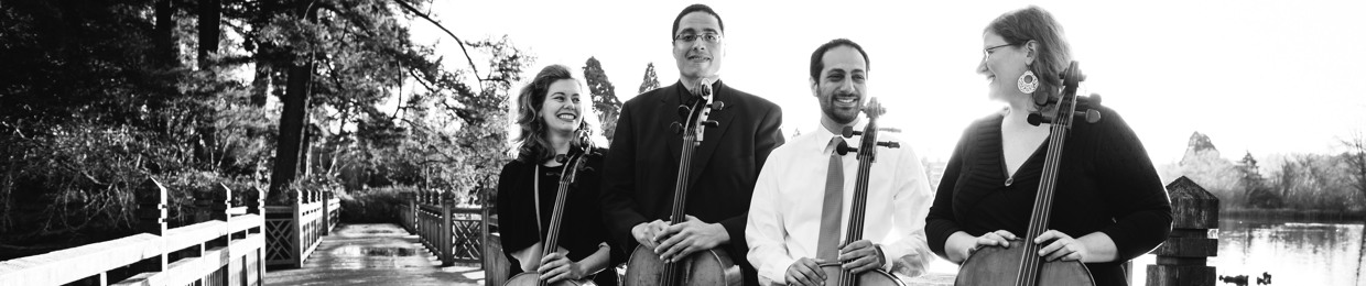 Rockstop Cello Quartet