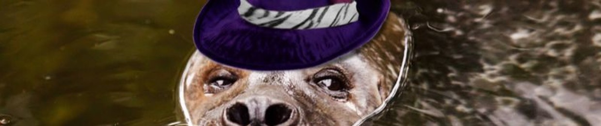 Misunderstood Bandit