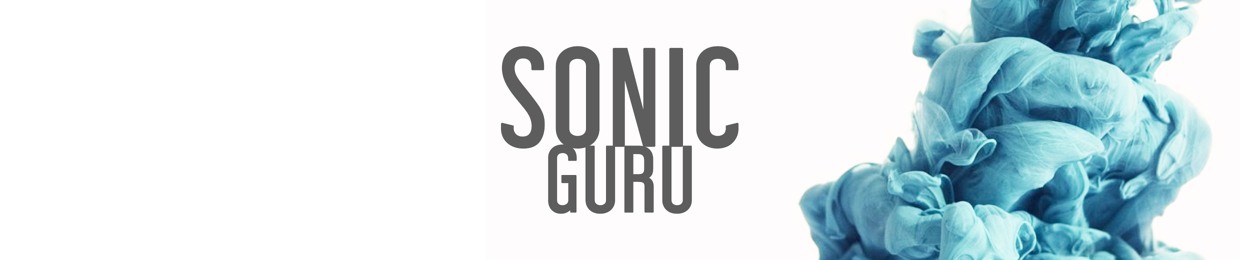 Sonic Guru