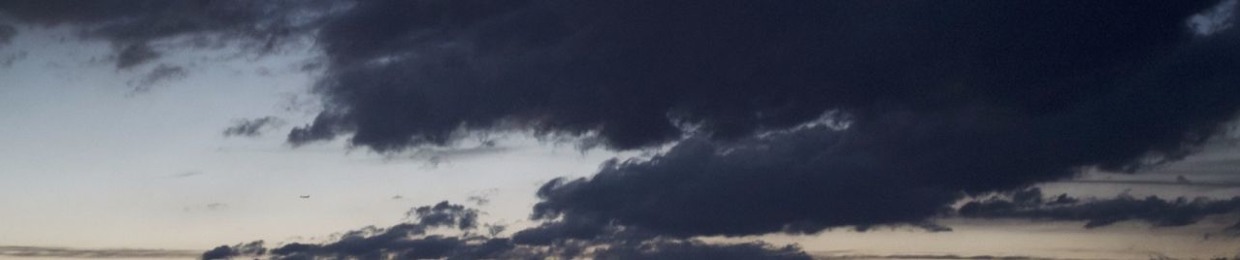 The Cormorant Project