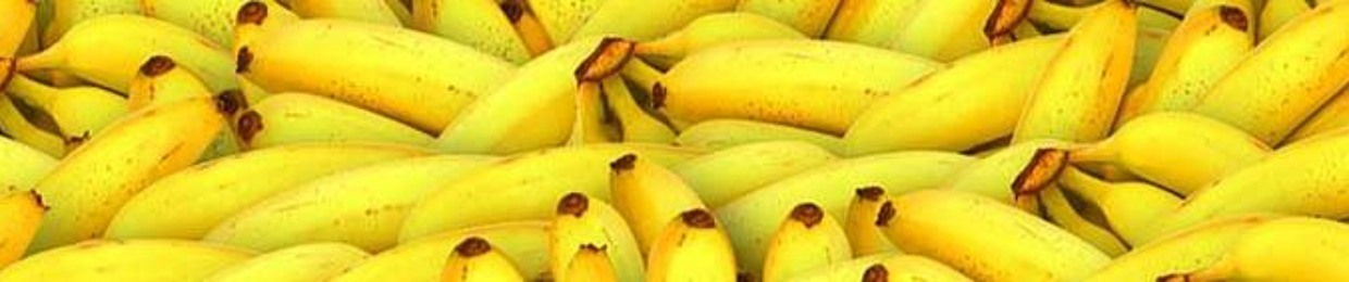 Stephen Thomas Miles