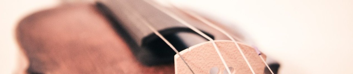 Sonic String Quartet