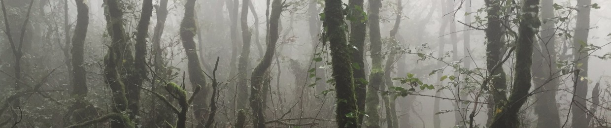Meridional