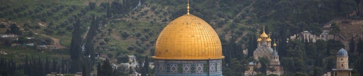 هاجر النقيطي
