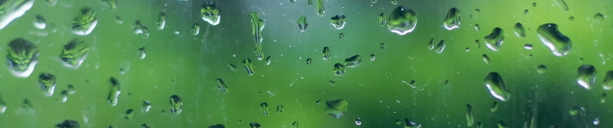 Tessalin Green