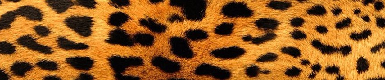 leopard print