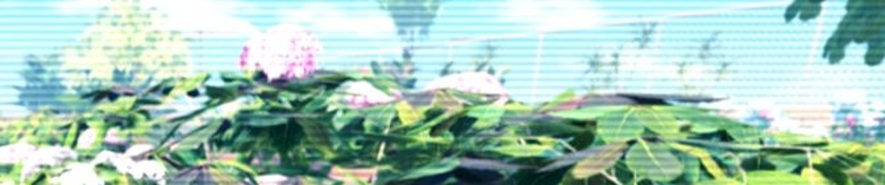 "froggo"