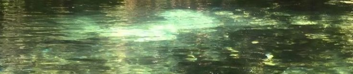 _cnsl