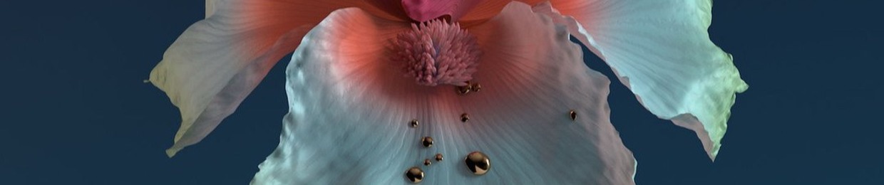 Luis Valares Rodriguez