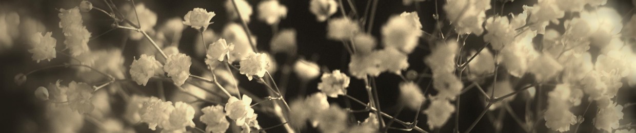 Wilts