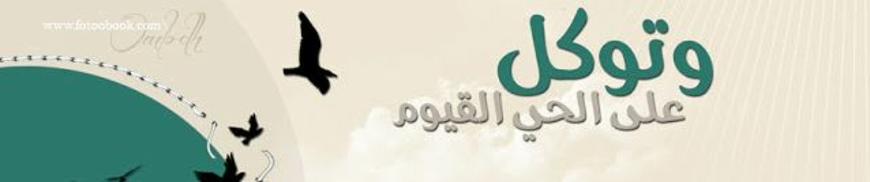 محمد أبوطارق