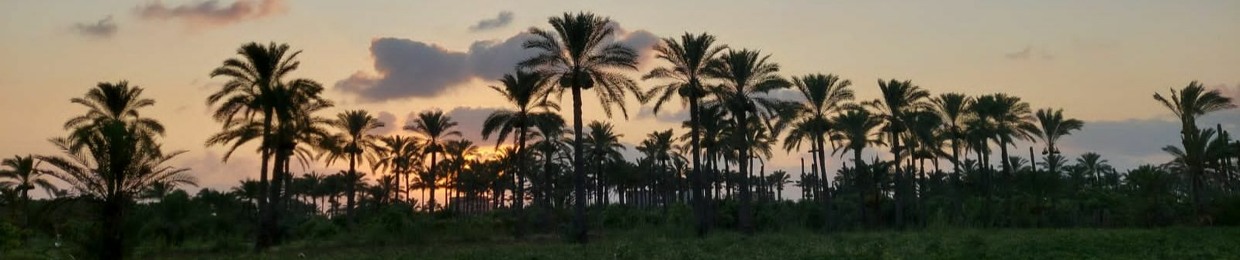 Yusuf Abdeldaim