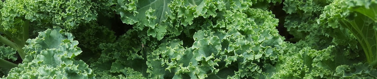 Kale