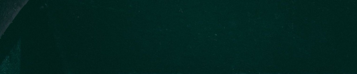 Midori | metaverde